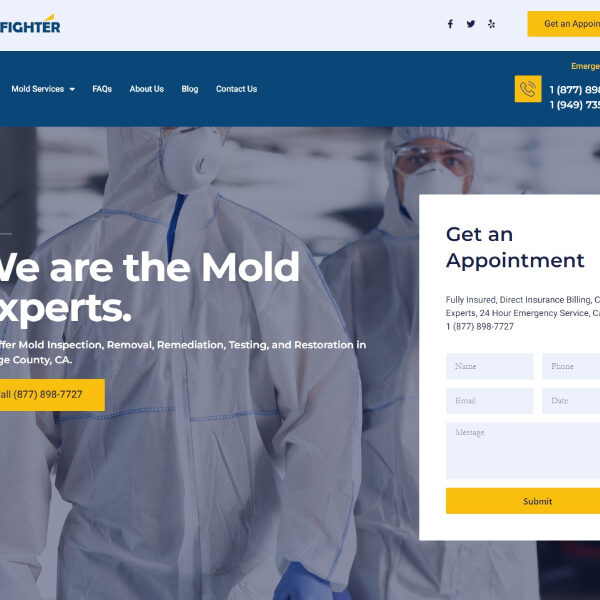 mold inspection website design