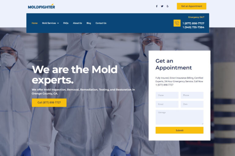 mold inspection website design